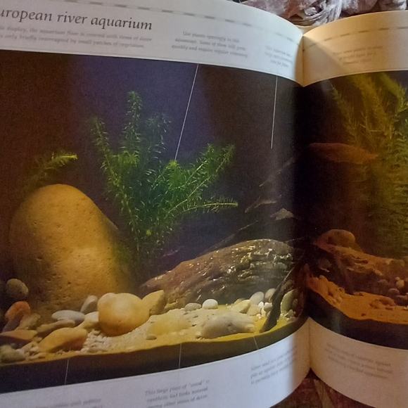 Aquarium Designs Inspired by Nature. Hardback - Picture 7 of 14